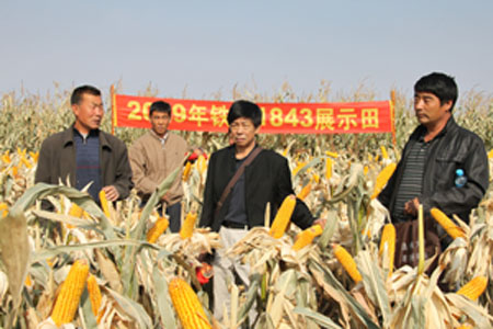 Farmers learn scientific farming knowledge in the field in Songshan District of Chifeng City of north China's Inner Mongolia Autonomous Region, September 25, 2009. A hundred of farmers from different counties and districts of Chifeng visited Songshan and Hongshan districts to exchange and learn scientific farming knowledge on Friday.