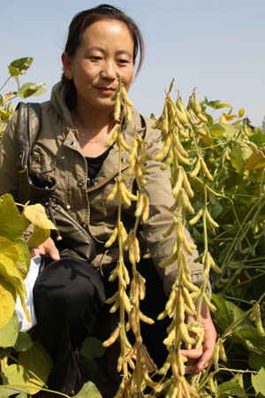 A farmer learn scientific farming knowledge in the field in Songshan District of Chifeng City of north China's Inner Mongolia Autonomous Region, September 25, 2009.