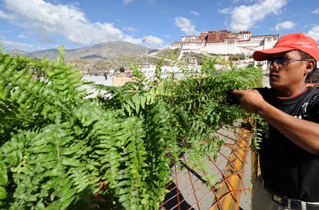 A worker places the flowers in Lhasa, capital of southwest China's Tibet Autonomous Region, September 26, 2009.