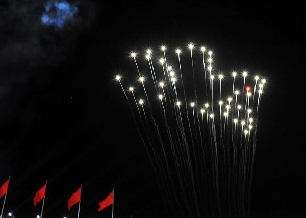 Fireworks depicting a pegion is seen in the evening gala for the 60th anniversary of the founding of the People's Republic of China, in Beijing, capital of China, October 1, 2009.