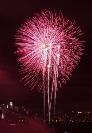 Fireworks explode over the Century Park in Shanghai, China, September 30, 2009. A concert and fireworks show were held here on Wednesday evening marking the 60th anniversary of the founding of the People's Republic of China.