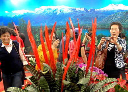 Visitors take photos of flowers at the exhibition hall of the seventh China Flower Expo in Shunyi District of Beijing, capital of China, October 3, 2009.