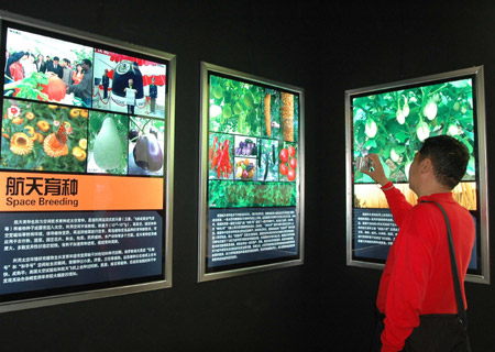 A visitor views the space breeding show at the seventh China Flower Expo in Shunyi District of Beijing, capital of China, October 3, 2009.