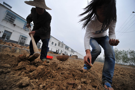 Xu Qingyou(L), a resettler displaced by the North-to-South Water Diversion Project, plants garlics in the field with neighbour at the Xinhe settlement, Jingmen city of northwest China's Hubei Province, October 21, 2009. The 4th batch of 94 families of resettlers from Xijiadian Township moved into their new houses in Jingmen on Tuesday.