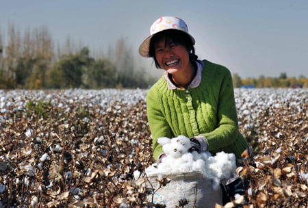 A farmer picks cotton in the field in Korla, west China's Xinjiang Autonomous Region, October 22, 2009. 