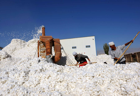 Farmers arrange cotton in Korla, west China's Xinjiang Autonomous Region, October 22, 2009. The purchasing price of cotton in some places of Xinjiang raise from 5.6 yuan per kg in 2008 to 6.2 yuan per kg.