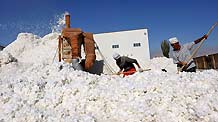 Farmers arrange cotton in Korla, west China's Xinjiang Autonomous Region, October 22, 2009. The purchasing price of cotton in some places of Xinjiang raise from 5.6 yuan per kg in 2008 to 6.2 yuan per kg.