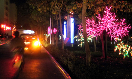 Photo taken on October 15, 2009 shows a street in Korla, capital of Mongolian Autonomous Prefecture of Bayingolin, northwest China's Xinjiang Uygur Autonomous Region. 