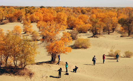 Tourists take photos beside diversiform-leaved poplars in Shaya County, northwest China's Xinjiang Uygur Autonomous Region, on October 20, 2009. 