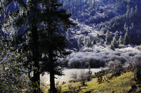 Picture taken on October 23, 2009 shows a view of Shangri-la, southwest China's Yunnan Province. 