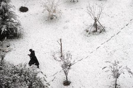 A man walks against the snow in Beijing November 1, 2009. The city's first snowfall this winter started Saturday night, bringing fresh air to locals as well as a sharp drop in temperature.