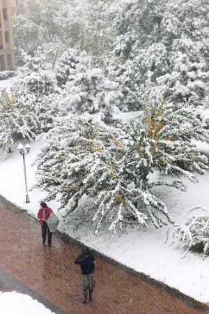 Two pedestrians make a stop to admire the snow in a neighborhood in Beijing November 1, 2009. The city's first snowfall this winter started Saturday night, bringing fresh air to locals as well as a sharp drop in temperature. 