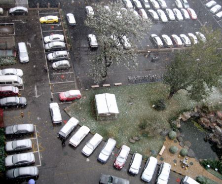 Snow-covered cars are seen in a neighborhood in Beijing November 1, 2009. The city's first snowfall this winter started Saturday night, bringing fresh air to locals as well as a sharp drop in temperature.