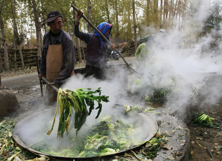 A farmer couple evaporate vegetables at Liangzhou region of Wuwei, northwest China's Gansu Province, October 30, 2009. Farmers in this region planted and produced plenty of evaporated vegetables that could make more money than usual vegetables on the market.