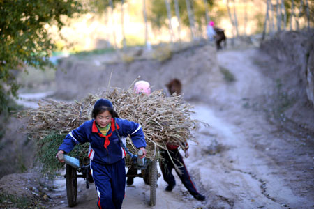 Hai Qin, a 12-year-old girl of Hui ethnic group, hauls a human-draught freight cart after school to help her mother with the arduous farm labors, in Kaicheng Town of Guyuan City, northwest China&apos;s Ningxia Hui Autonomous Region, Oct. 22, 2009.