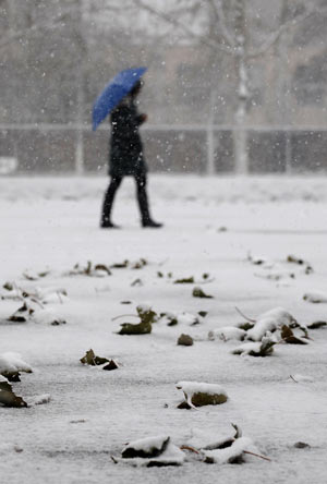 A pedestrian walks in snow at the Xixia Park in Yinchuan, capital of northwest China&apos;s Ningxia Hui Autonomous Region, November 10, 2009. Most parts in north and northwest China witnessed a snowfall on Tuesday.