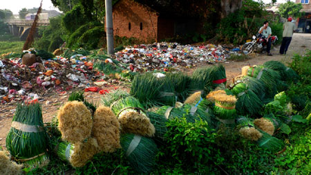 Photo taken on October 25, 2009 by Zhu Mengdan shows bundles of vegetables piled up besides garbages on a rural path. Like many people, I like eating vegetables very much. I was very surprised to see my favorite food was put in such an unclean place.