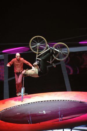 French acrobats perform at the 12th China Wuqiao International Circus Festival in Cangzhou City, north China's Hebei Province, November 11, 2009.
