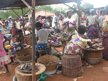 The photo taken on October 28, 2009 shows local residents trade at the market in Togoville. Wednesday is the busiest time of a week.