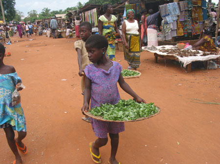 The photo taken on October 28, 2009 shows girls carry vegetables to sell at the market in Togoville.