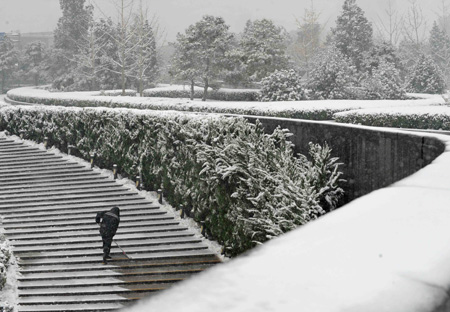 A cleaner sweeps snow at the National Center for the Performing Arts in Beijing, capital of China, November 12, 2009. Snowfall continued in most parts of north and central China on Thursday.