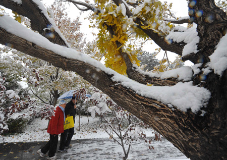 Tourists walk in snow in Beijing, capital of China, November 12, 2009. Snowfall continued in most parts of north and central China on Thursday. 