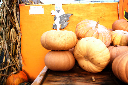 Photo taken on November 1, 2009 shows a pile of pumpkins at a pumpkin market in Virginia, the United States.