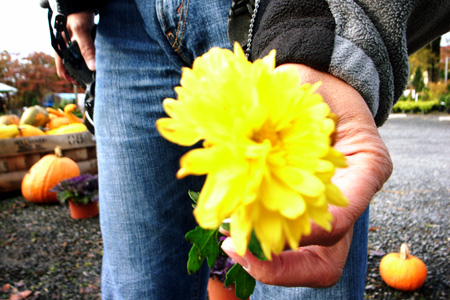 Photo taken on Nov. 1, 2009 shows a man holding a flower at a pumpkin market in Virginia, the United States.