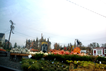 Photo taken on November 1, 2009 shows a pumpkin market in Virginia, the United States.