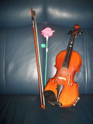 A violin used by Liang Zhuoru is seen in this photo taken by Liang Zhuoru in 2009. 