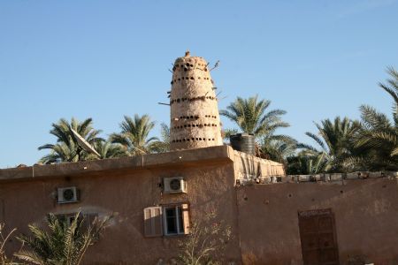 A pigeon cage is seen in this photo taken on October 23, 2009 in Siwa, Egypt. 