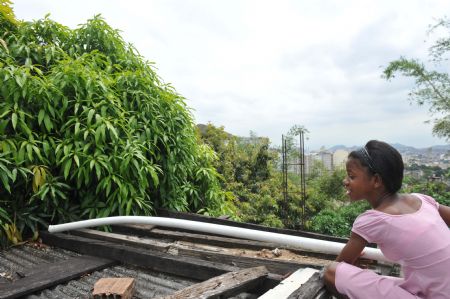 Photo taken on October 5, 2009 shows Maria Luisa picks mangos on her home's roof in Rio De Janeiro in Brazil.