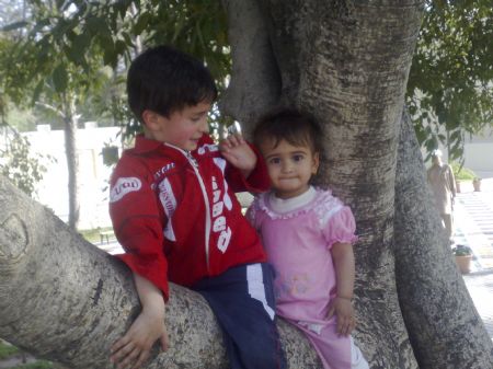 This picture taken on March 15, 2008 shows my cousin and my brother play on a tree.