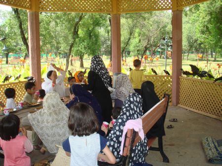 This picture taken on July 24, 2008 shows many hungry crows gather around us while we are having picnic.