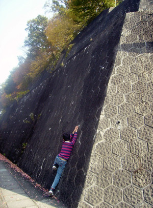 My name is Kazuto Omori. I am 11 years old. The photo I took on November 1, 2009 shows a boy on the roadside in Autumn. 