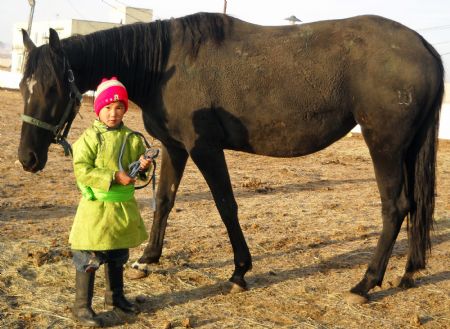 The picture I took on October 27, 2009 shows my friend is ready to ride on a horse in Ulan Bator, Mongolia. 