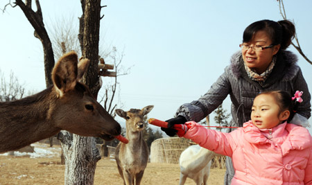 A mother and her daughter feed a wild deer in the Qinghai-Tibet Plateau Safari Park in northwest China&apos;s Qinghai Province, Nov. 20, 2009. (Xinhua/Hou Deqiang)