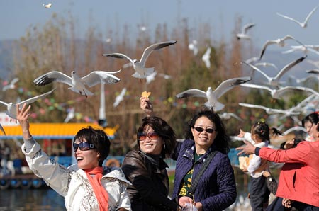 Tourists feed black-headed gulls at the Dianchi Lake in Kunming, capital of southwest China's Yunnan Province, November 27, 2009. A great number of black-headed gulls migrate here to live through the winter annually.