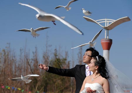 A new couple feed black-headed gulls at the Dianchi Lake in Kunming, capital of southwest China's Yunnan Province, November 27, 2009. A great number of black-headed gulls migrate here to live through the winter annually.