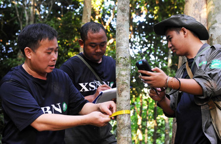 Workers follow the growth process of an endemic tree species in tropical rainforest in Dai Autonomous Prefecture of Xishuangbanna, southwest China&apos;s Yunnan Province, September 8, 2009.