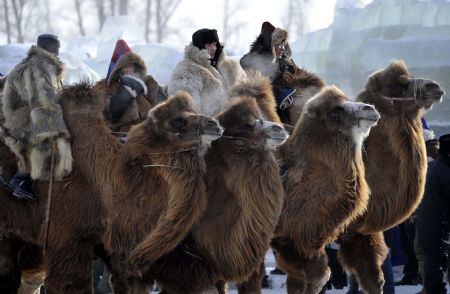 Equestrians attend a camel racing during the opening of the winter Nadam fair in Hailar, north China's Inner Mongolia Autonomous Region, December 8, 2009.