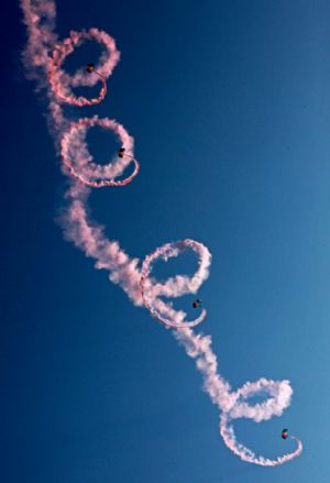 Members of the Bayi (August 1) Parachute Jumping Team of the Air Force of the Chinese People's Liberation Army (PLA) perform to celebrate the 10th anniversary of Macao's return to China, in Macao, south China, December 13, 2009.