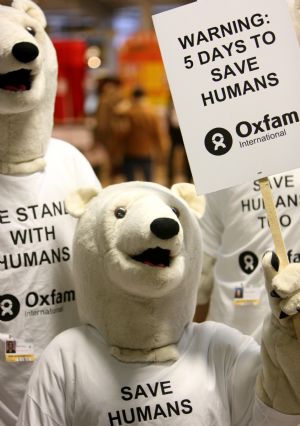 Environmentalists wearing polar bear costumes hold placards at the Bella center of Copenhagen, capital of Denmark, December 14, 2009, during the UN Climate Change Conference. 