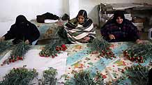 Palestinians select flowers at a farm after Israel granted approval for the export of Palestinian flowers from the Gaza Strip to the European market in Rafah, southern Gaza Strip, December 16, 2009.