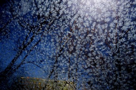 Trees are seen through the glass covered with ice crystals in Moscow, capital of Russia, Dec. 18, 2009. Commuters and air passengers faced delays and disruption across many countries of Europe on Friday, after heavy snowfall with the forecaster saying more was on the way.(Xinhua/Lu Jinbo)