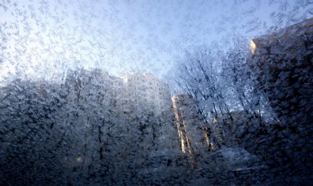 Cars and buildings are seen through the glass covered with ice crystals in Moscow, capital of Russia, Dec. 18, 2009.(Xinhua/Lu Jinbo)