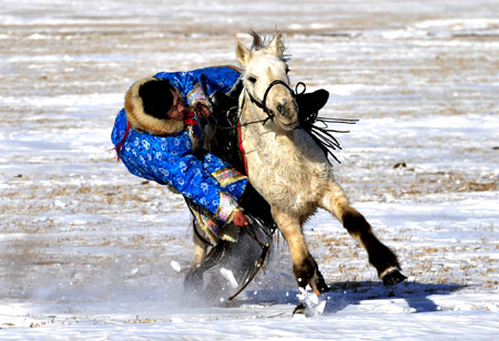 A herdsman tries to pick a thing on a running horse in Xi Ujimqin Qi, north China's Inner Mongolia Autonomous Region, on December 28, 2009.