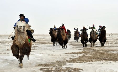 Herdsman take part in a camel runing competition on the camel culture festival in Hexigten Banner, north China&apos;s Inner Mongolia Autonomous Region, on December 28, 2009. 