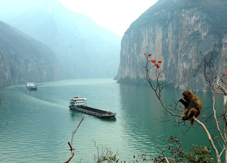 Two cargo ships navigate in the Yangtze River, December 5, 2009.