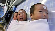 This January 1, 2010 photo shows the triplet baby girls of late mother Yang Cuicui. Yang was diagnosed of A/H1N1 flu and then decided to take a risk to give birth ahead of schedule December 23.